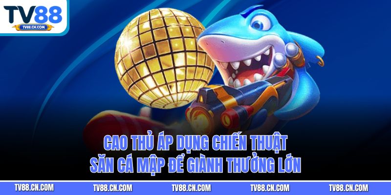Cao thủ áp dụng chiến thuật săn cá mập để giành thưởng lớn