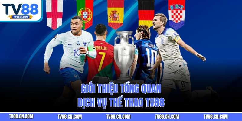 Giới thiệu tổng quan dịch vụ thể thao TV88